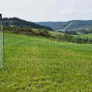 PUERTA PARA CERCA DE MALLA ELÉCTRICA