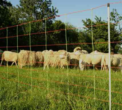 MALLA PARA OVEJAS REFORZADA KOMBI