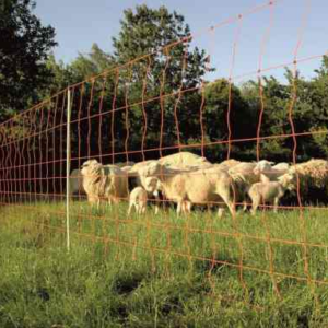 Malla Para Cabras