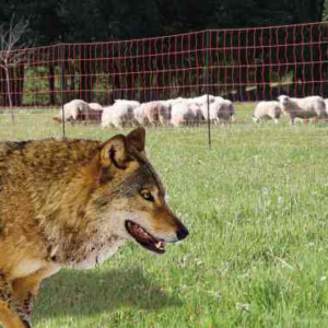 MALLA PARA ANIMALES SALVAJES