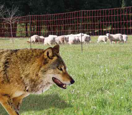 MALLA PARA ANIMALES SALVAJES