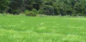 Cartel Indicador de Cerca Eléctrica